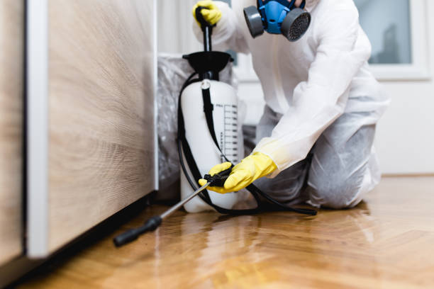 Best Insect Control  in Abbeville, LA