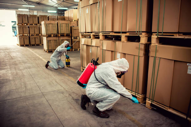 Best Rat Extermination Near Me  in Abbeville, LA