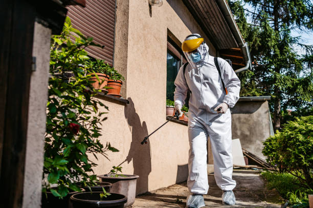 Best Spider Control Near Me  in Abbeville, LA